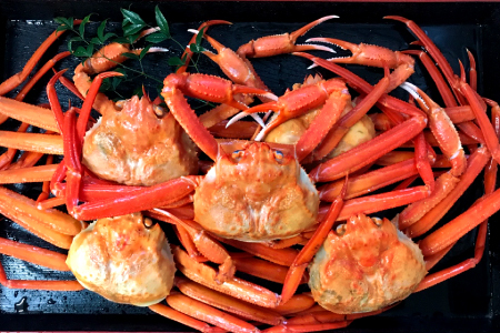 訳あり 紅ずわいがに（5枚～10枚）3kg【ズワイガニ ずわいがに 紅ズワイガニ 紅ずわい カニ かに 蒸しガニ 訳あり 早期受付 季節限定 カニしゃぶ 冷蔵配送 お祝い お歳暮 お年賀 プレゼント 