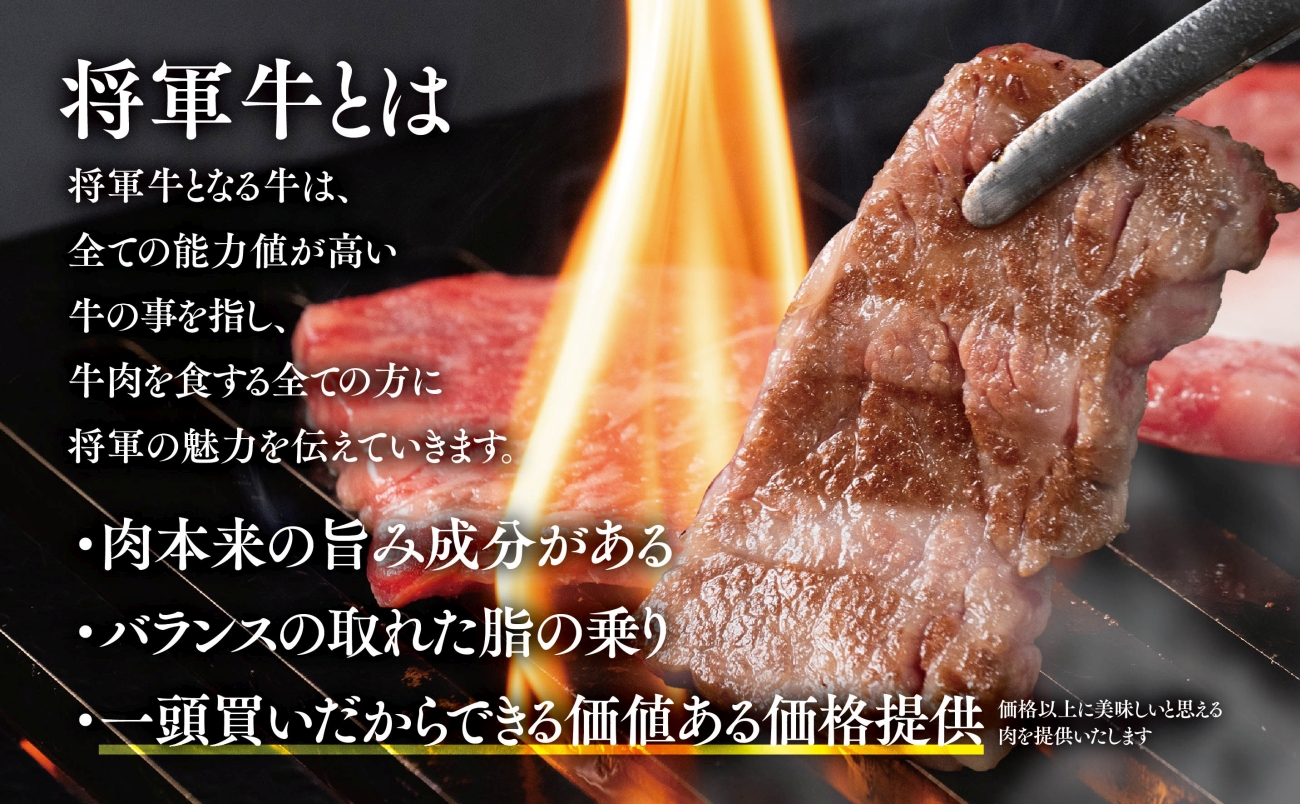 【将軍牛】特選焼肉セット ロース カルビ もも 3種類 500g【配送不可地域：離島・北海道・沖縄県】