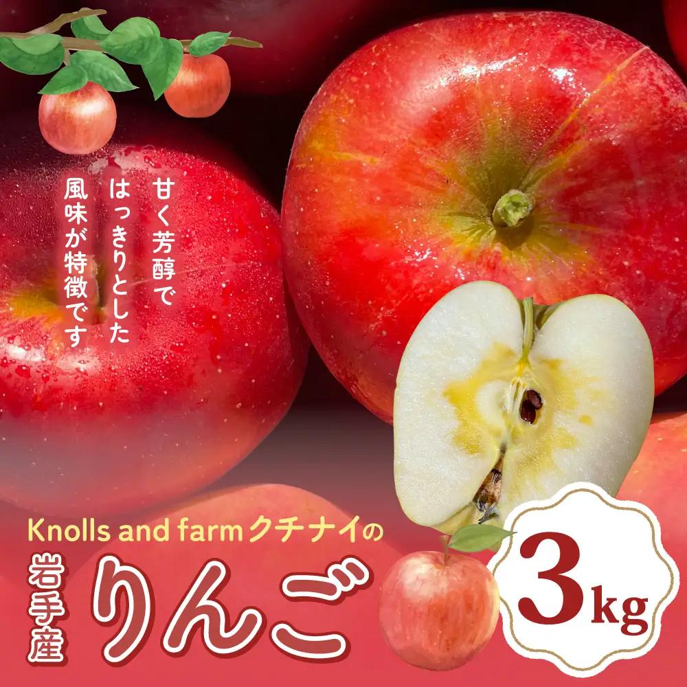 Knolls and farm クチナイのりんご 3kg 品種おまかせ 【令和8年9月中旬以降発送予定】 岩手県 北上市 D0567