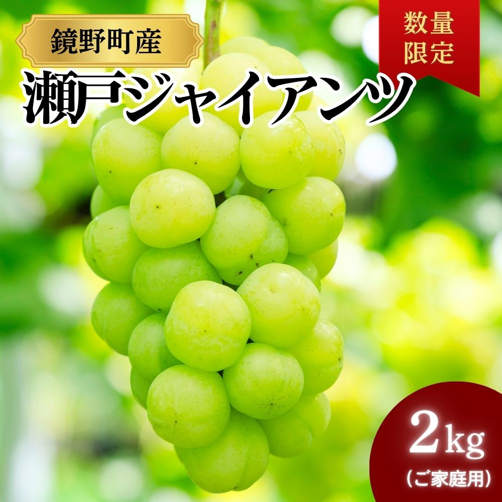 【ふるさと納税】【期間限定】鏡野町産 瀬戸ジャイアンツ 2kg（ご家庭用）【004-a028】