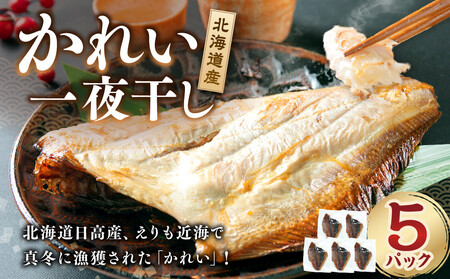 北海道産 かれい一夜干しセット　5パック ｜ 北海道産　絶品