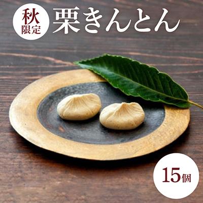 ふるさと納税 飯島町 【秋】栗きんとん15個入