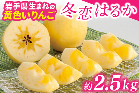 りんご 「冬恋」はるか 糖度15度以上【先行予約 12月発送予定】 数量限定 岩手県産 りんご 岩手県ブランド はるか フルーツ くだもの 果物 【冬恋研究会 はるか】 (AI022)