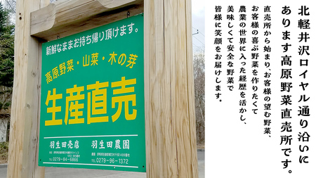 【 2025年 7月中旬 発送開始 】 まぼろしの419キャベツ 2玉 きゃべつ 嬬恋村産キャベツ 羽生田売店 幻のキャベツ419 産地直送 期間限定 先行予約 人気 朝採り 通販 お取り寄せ 関東 