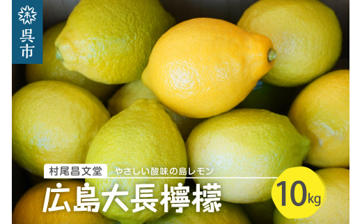 
国産檸檬（レモン）発祥の地　広島大長檸檬　10kg
