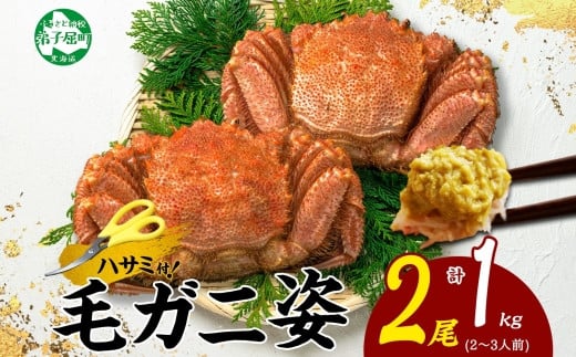 
            3319.毛蟹 2尾 計1kg前後 食べ方ガイド・専用ハサミ付 カニ かに 蟹 海鮮 ボイル 送料無料 北海道 弟子屈町
          