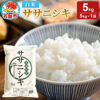 ふるさと納税 名取市 米 令和7年産 宮城県産 ササニシキ 白米 5kg|21_trc-2x0501h