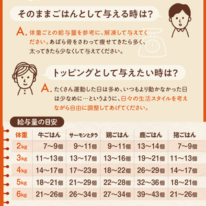 【隔月3回定期便】1cofood　手作りドッグフード　5種全部セット　1.香り豊かな牛ごはん　2.サーモンとタラのうまみごはん　3.鹿ごはん　4.猪ごはん　5.鶏ごはん _ ドッグフード 手作り 5種