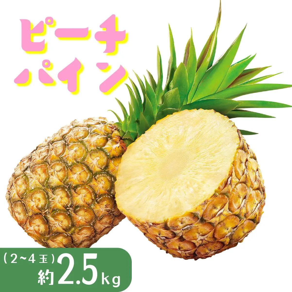 パイナップル ピーチパイン 約2.5kg 2～4玉 パイン 果物 フルーツ 沖縄 西表島【TOK:iふぁーむ】配送不可：離島