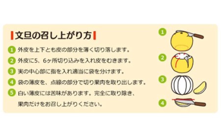 成田果樹園 土佐文旦 10kg（大玉）家庭用 文旦