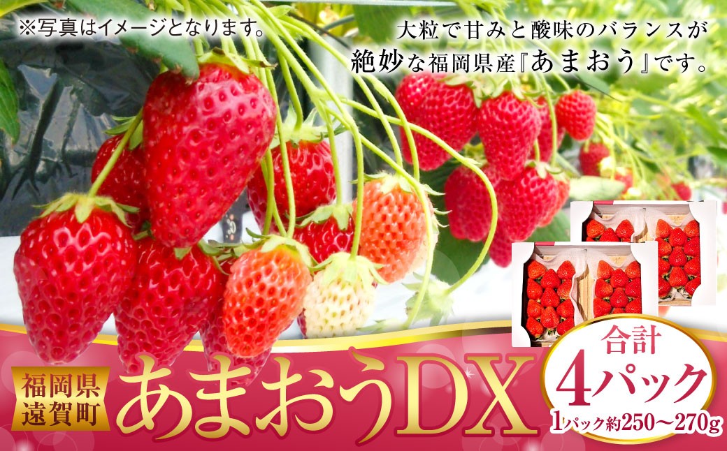 
                  あまおうDX 約250～270g×4パック あまおう いちご イチゴ 苺 果物 くだもの フルーツ【2027年2月上旬～4月下旬発送予定】
                
