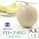 【ふるさと納税】【通年出荷】アローマメロン(大玉)　1玉入【配送不可地域：離島・北海道・沖縄県】【1447132】