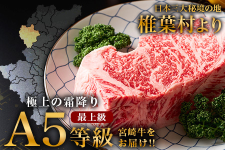 【A5ランク】 宮崎牛 すき焼き 2種 食べ比べ 肩ロース630g・牛もも630g 計1260g すき焼き しゃぶしゃぶ | ふるさと納税 すき焼き しゃぶしゃぶ 肉 牛肉 高級肉 黒毛和牛 国産 モ