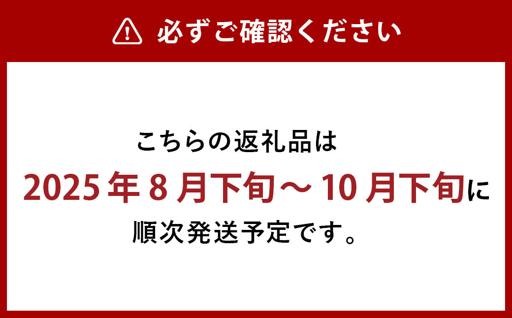 シャインマスカット晴王4房（1房480g以上）