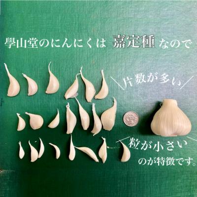 ふるさと納税 肝付町 【先行受付】5月中旬以降順次発送予定!學山堂のにんにく(計1.2kg)国産 にんにく　A69001 |  | 02