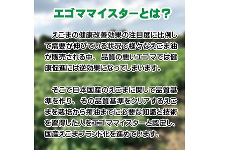 【毎日の健康に】えごま茶（ティーパック　平型）宮崎県西都市産＜1-112＞