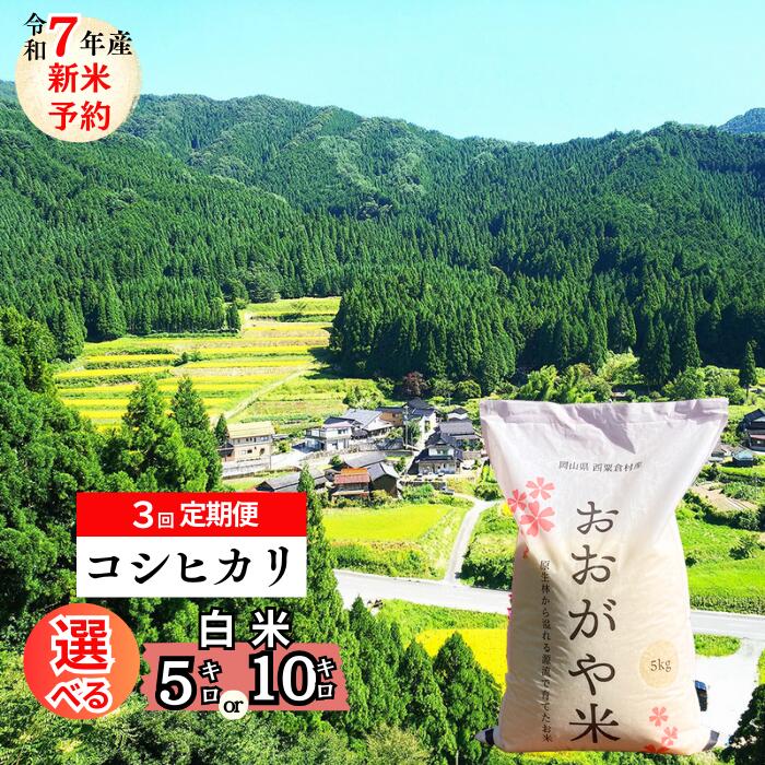 【ふるさと納税】＜2025年10月ごろよりお届け＞R7年産　新米先行予約 【3回定期便】 おおがや米 コシヒカリ　岡山県　西粟倉村　白米5kg・10kg G-al-BECA