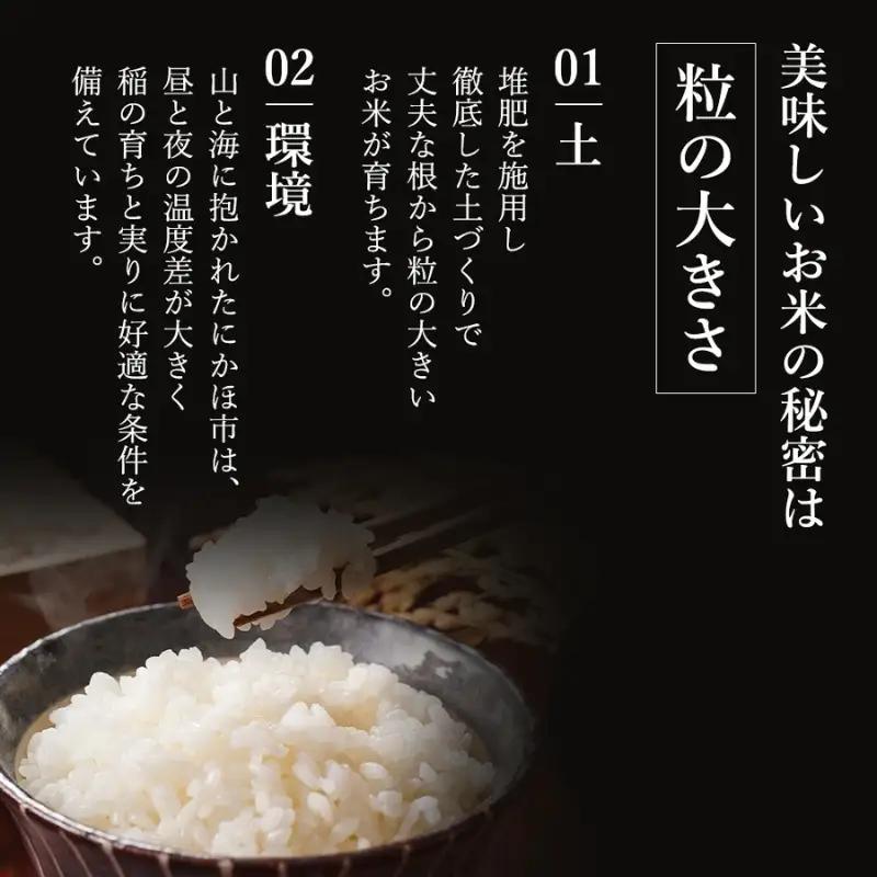 先行予約【8ヵ月定期便】ひとめぼれ 5kg 白米 令和8年産 白米