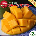 【ふるさと納税】絶品！キーツマンゴー 約2kg