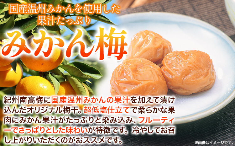 高級南高梅みかん梅400g 網代模様仕上紀州塗箱入り 澤株式会社《90日以内に出荷予定(土日祝除く)》和歌山県 日高町 梅干し みかん みかん梅 紀州南高梅 紀州塗  送料無料