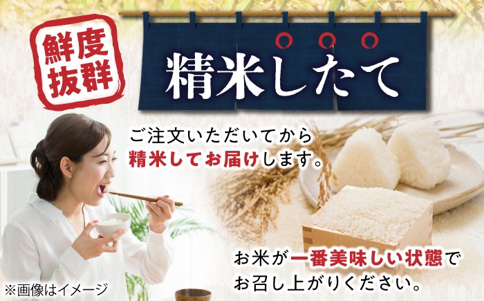 滋賀県産【特別栽培米】羽二重糯 3kg | 米 お米 もち米 餅米 3kg 羽二重餅 餅米 もち お餅 もちごめ はぶたえもち