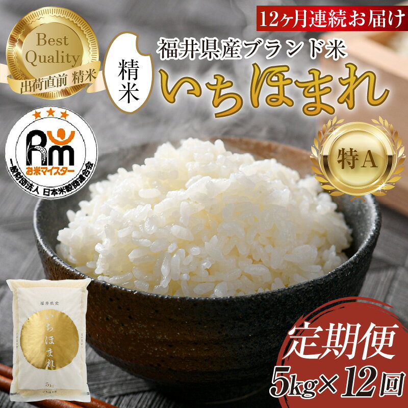 【ふるさと納税】【令和8年産 新米】定期便12回 いちほまれ 精米 5kg×12回（計60kg）《お米マイスター厳選！発送直前に精米！》 ／ 福井県産 ブランド米 ご飯 白米 新鮮