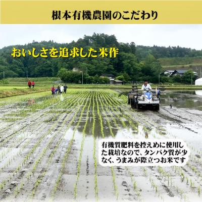 ふるさと納税 南相馬市 【令和6年産】南相馬・根本有機農園JAS有機米コシヒカリ10kg玄米【3004101】 |  | 01