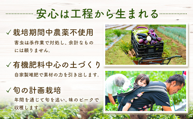 野菜 旬の野菜セット Mサイズ 約8～9種 《30日以内に出荷予定(土日祝除く)》 ベジLIFE!!  季節の野菜  料理 甘い 採れたて トマト 新玉ねぎ じゃがいも キャベツ 白菜 ベジライフ 千