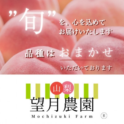 柔らかめの品種の桃・2K(5~6個)「龍の木の実 望月のもも」【配送不可地域：離島・沖縄県】
