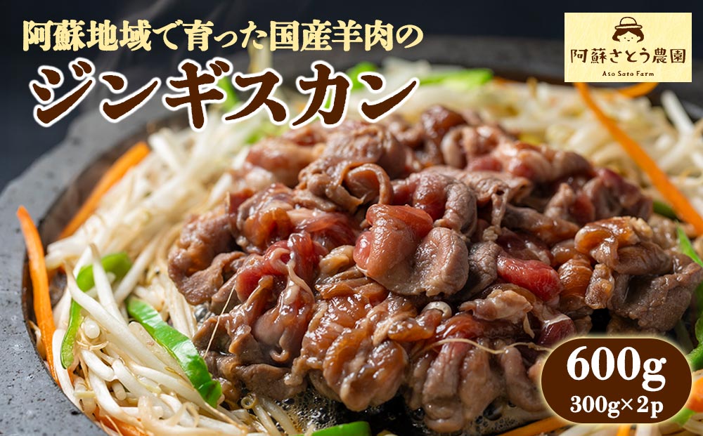 【選べる内容量】【国産】ジンギスカン 600g 阿蘇さとう農園 阿蘇地域で生産した貴重な国産羊肉！ 冷凍 小分け 熊本特産 晩白柚風味 簡単調理 焼くだけ 本格 貴重 熊本グルメ ご当地グルメ 特製漬け込み お取り寄 BBQ 焼肉 食材 おかず ヘルシー 熊本県 阿蘇市