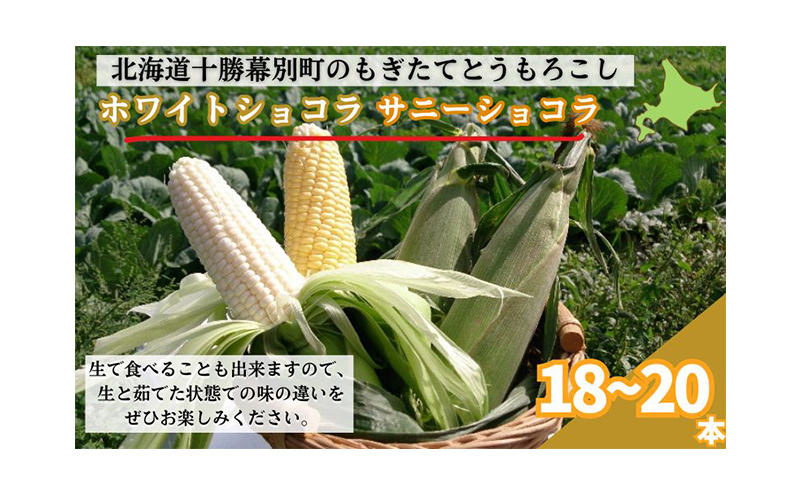 ［先行予約/2025年］もぎたてとうもろこし黄・白 計18～20本セット [北海道ホープランド農場]【 とうきび トウモロコシ とうもろこし 野菜 夏野菜 フルーツ 北海道 十勝 幕別 】
