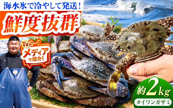 豊前海産 タイワンガザミ 2kg (8～14杯前後) オス メス セット《築上町》【明青丸】 [ABCB003] ワタリガニ 渡り蟹 蟹 カニ かに わたりがに watarigani kani ガザミ 青蟹 海鮮 魚介類 ギフト 贈り物 贈答用 蒸し蟹 蟹鍋 パスタ カンジャンケジャン 人気 おすすめ 渡りガニ 30000 30000円 3万円