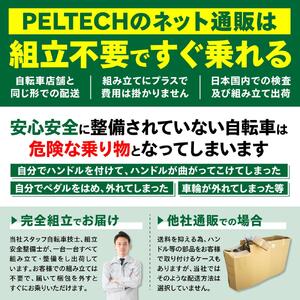 【100％完成納品】PELTECH（ペルテック）後チャイルドシート付子供乗せ適用電動アシスト自転車 20型内装3段 TDN-207LP-8 AH-CH【マットカーキ】