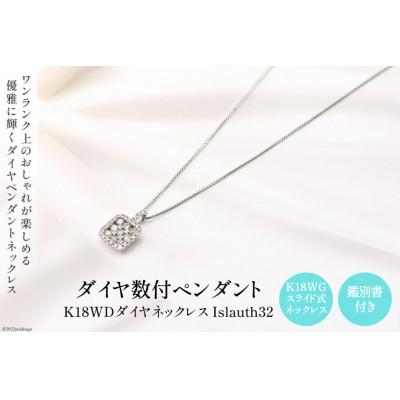 ふるさと納税 韮崎市 ペンダント K18WD ダイヤ数付 Islauth32