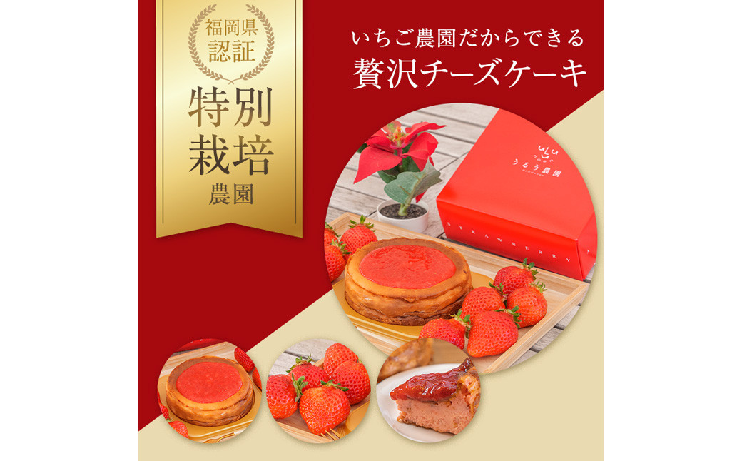 あまおうチーズケーキ 約380g 1ホール いちご イチゴ 苺 フルーツケーキ 冷凍