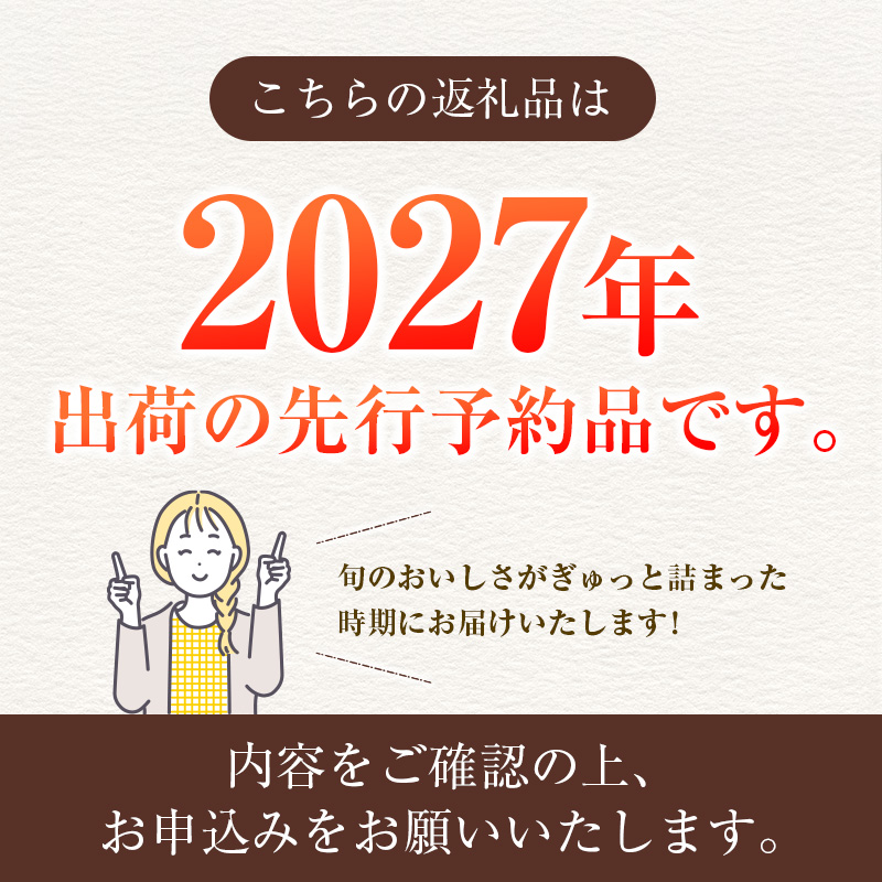 【令和9年発送 先行予約】完熟マンゴー「太陽のタマゴ」 3L×2玉（フルーツ マンゴー 完熟マンゴー アップルマンゴー 果物 くだもの 先行受付 2027 令和9年 宮崎）