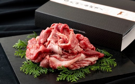 B546 ふるさとの恵み長崎和牛切り落としたっぷりセット（500g）