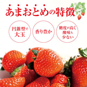 坂本いちご農園 あまおとめ 1㎏ ｜ 果物 くだもの フルーツ いちご 苺 イチゴ あまおとめ 1㎏ 熊本県 玉名市