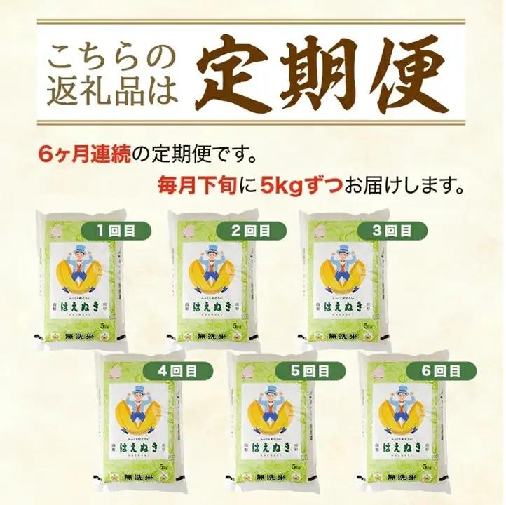 SH0075　7月下旬発送開始／【6回定期便】無洗米 はえぬき　5kg×6回(計30kg) TO