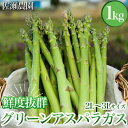 【ふるさと納税】26-B 特選！アスパラガス1kg（2L～3L)サイズ ※2025年4月中旬～5月中旬頃に順次発送予定