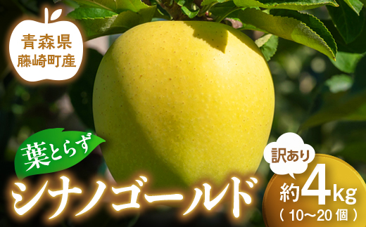 【先行予約】シナノゴールド 訳あり 約4kg（10～20個）りんご リンゴ 林檎 果物 フルーツ  F41-0029