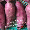 【ふるさと納税】【予約受付2024/10月中旬～発送予定】さつまいも 5kg セット 野菜 ソムリエ 齋藤セレクト「新」秋セット さつま芋 数量 限定