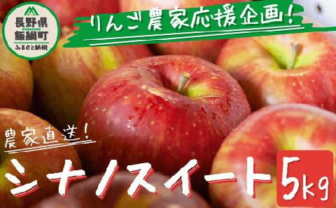 りんご 農家応援企画 シナノスイート 家庭用・訳あり5kg 【令和7年度収穫分】 ※沖縄県への配送不可 ※2025年10月中旬頃?11月上旬頃まで順次発送 長野県飯綱町 [0902]