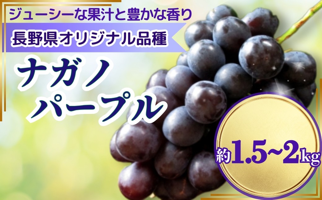 
                  ぶどう ナガノパープル 約1.5kg / 約2kg｜ 果物 フルーツ ぶどう 葡萄 ブドウ 種無し 種なし 皮ごと 千曲市 長野県 信州
                