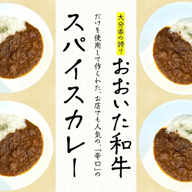 おおいた和牛 スパイスカレー 3袋 K03038
