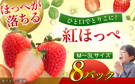 いちご 紅ほっぺ 約2kg（約250g×8パック Mから3L）【先行予約】【2025年1月初旬より順次発送】　愛媛県大洲市/沢井青果有限会社 [AGBN027]苺いちご果物苺いちご果物苺いちご果物苺いちご果物苺いちご果物苺いちご果物苺いちご果物苺いちご果物苺いちご果物苺いちご果物苺いちご果物苺いちご果物苺いちご果物苺いちご果物苺いちご果物苺いちご果物苺いちご果物苺いちご果物苺いちご果物苺いちご果物苺いちご果物苺いちご果物苺いちご果物苺いちご果物苺いちご果物苺いちご果物苺いちご果物苺いちご果物苺いちご果物苺い