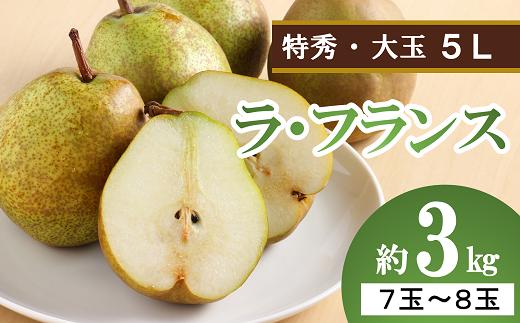 【令和6年産先行予約】 大玉ラ・フランス 約3kg (7～8玉 特秀 5L) 《令和6年10月中旬～発送》 『生産者 沼澤 裕太』 ラフランス 西洋梨 洋なし 山形南陽産 山形県 南陽市 [2249]