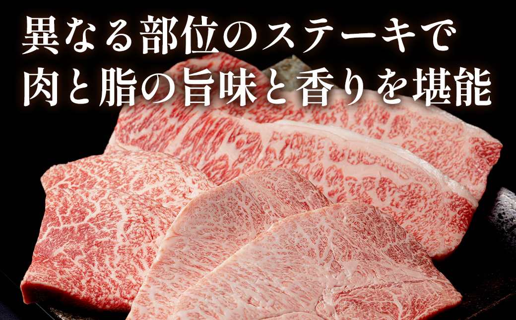 知床牛ステーキ3種セット計約900g（サーロイン・赤身・霜降り） OSG008