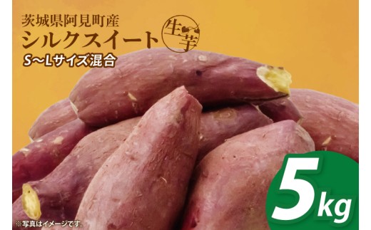 
                  【2026年1月中旬より順次発送】さつまいも シルクスイート5kg【甘藷 甘い さつま芋 サツマイモ 薩摩芋 茨城県産 茨城県 阿見町】(90-03)
                