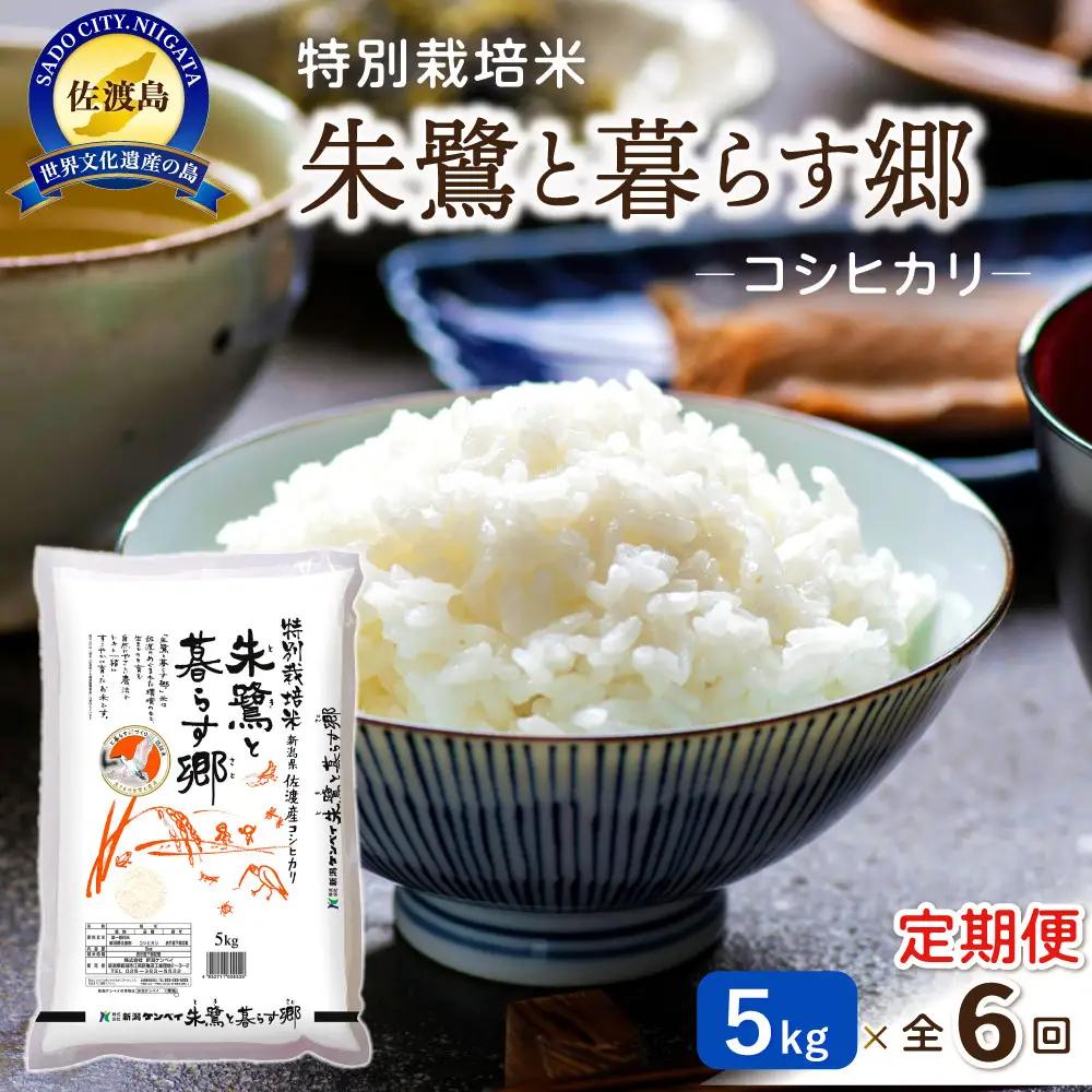 【6ヶ月連続お届け】佐渡産コシヒカリ 朱鷺と暮らす郷（5kg）